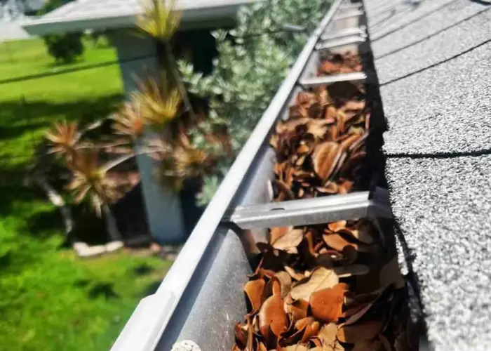Newark Valley gutter cleaning home page